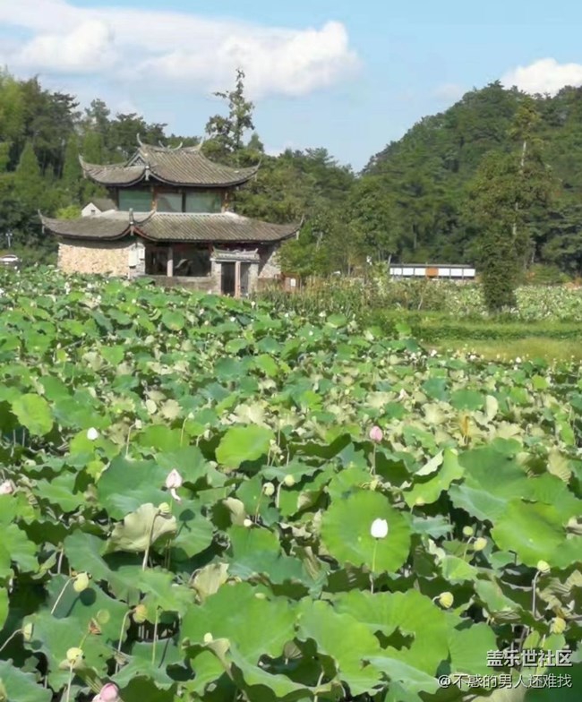 【中秋限定】乡村气息