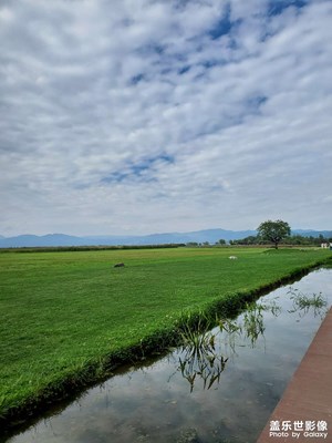 【中秋故事】+天空与草地