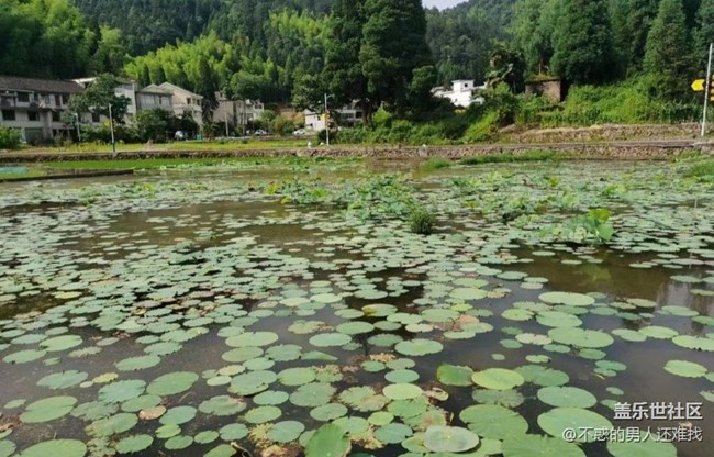 【中秋限定】乡村气息