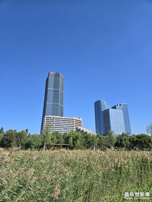 【中秋故事】+公园随拍