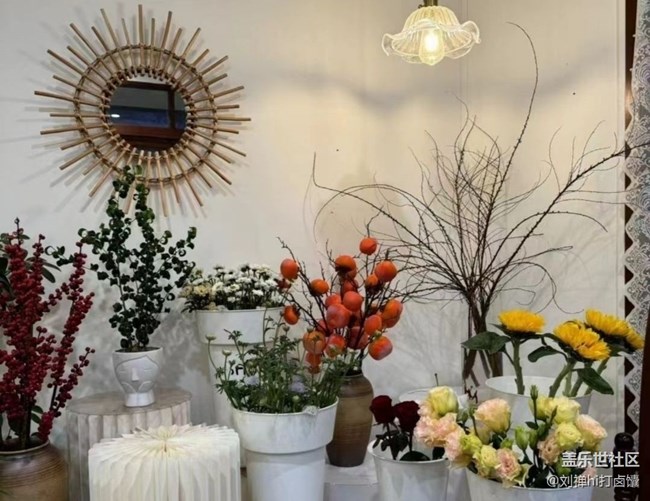 【Galaxy影像】第一期+热爱生活