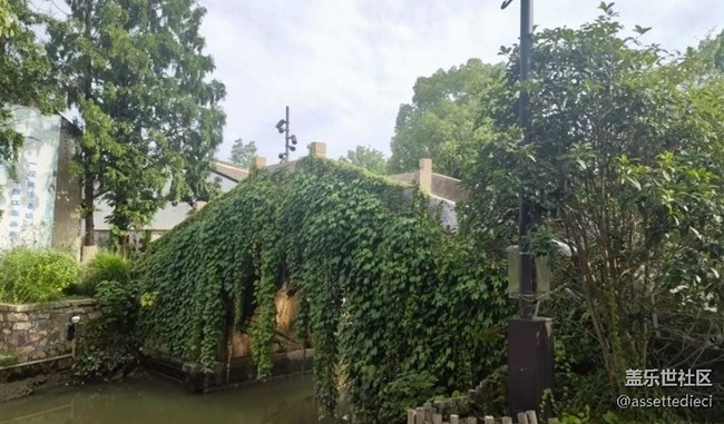 【金色秋天】户外