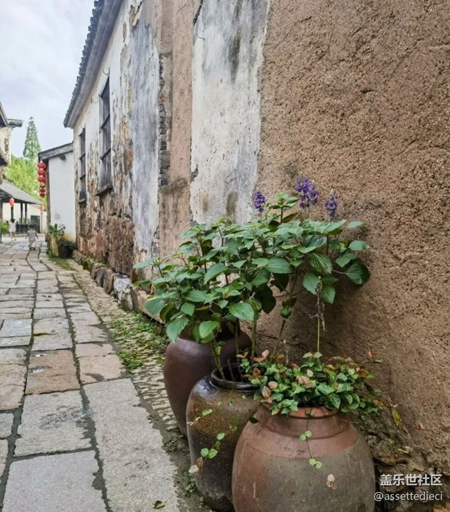 【金色秋天】户外