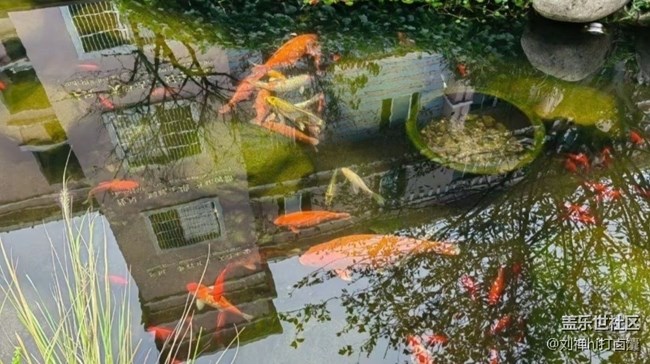 【中秋限定】初秋景色