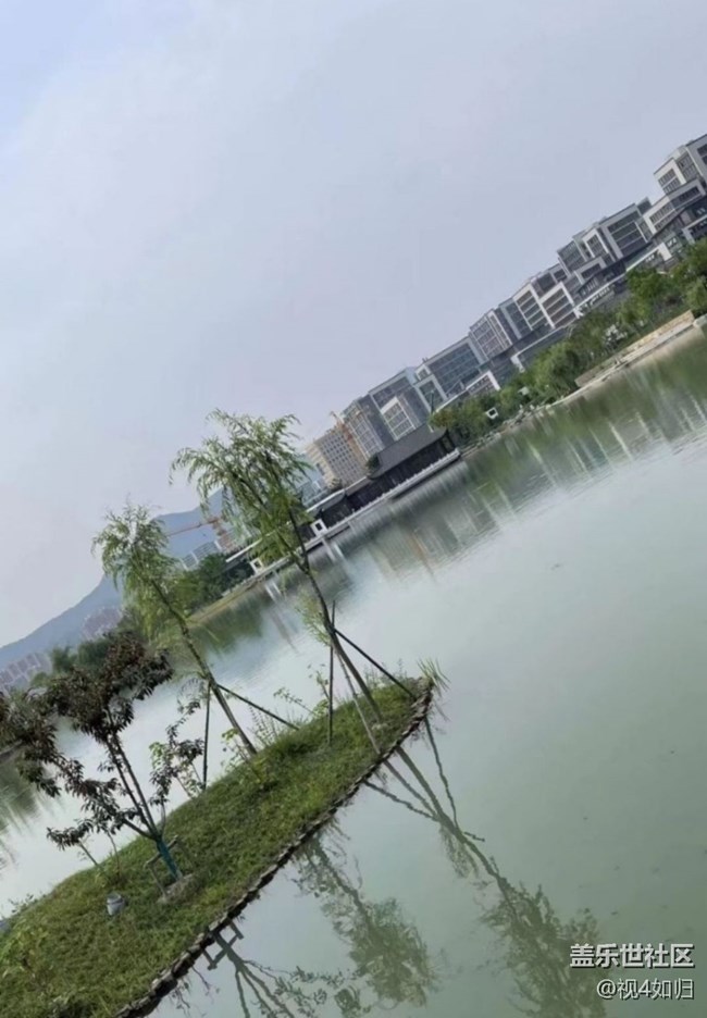 【金色秋天】公园