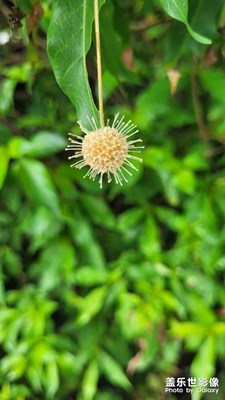 【金九银十迎双节】登山