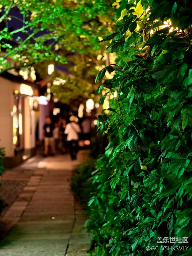 【蟠龙天地中秋线下摄影活动】+从白天到黑夜