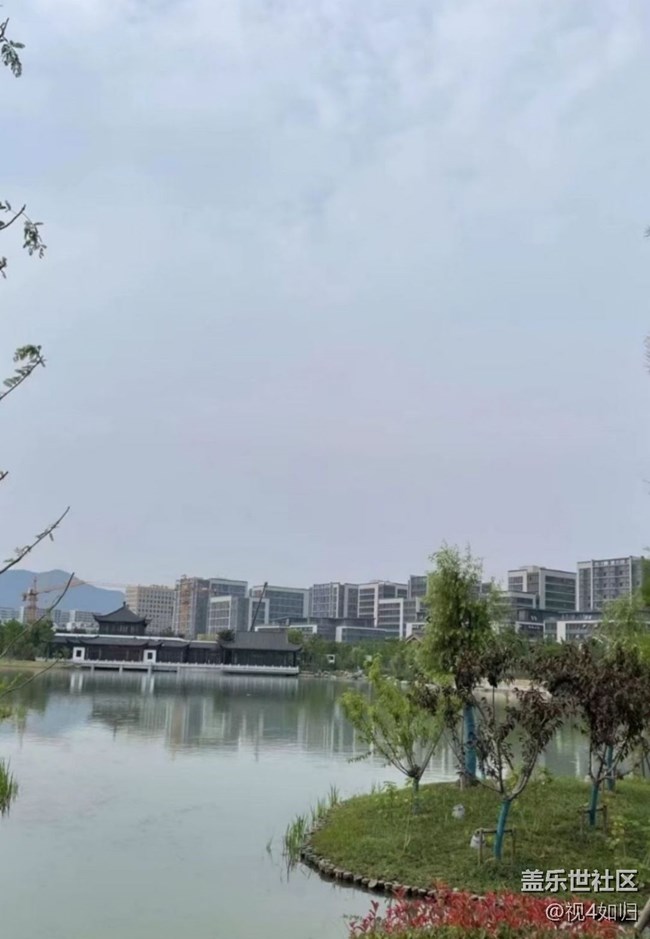 【金色秋天】公园
