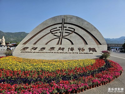 随手拍