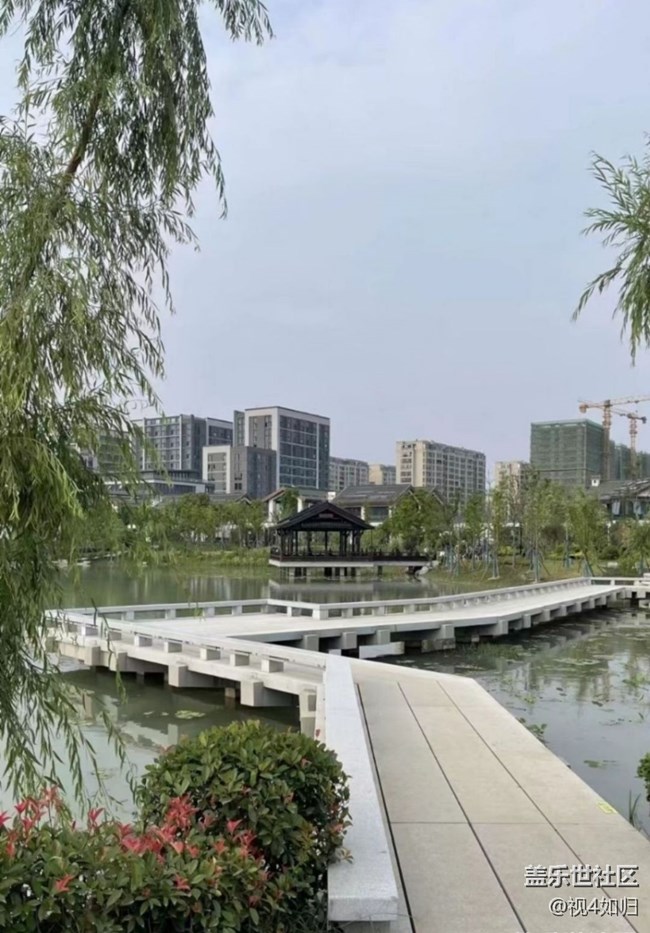 【金色秋天】公园