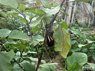 【金九银十迎双节】回老家喽