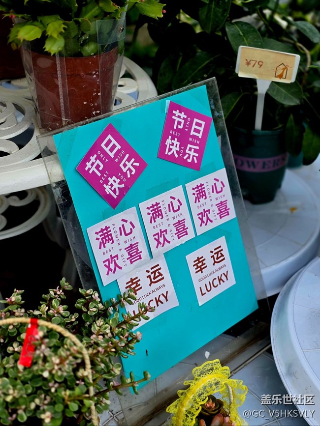 【蟠龙天地中秋线下摄影活动】+从白天到黑夜