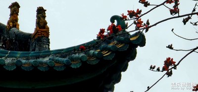 一些旧照片