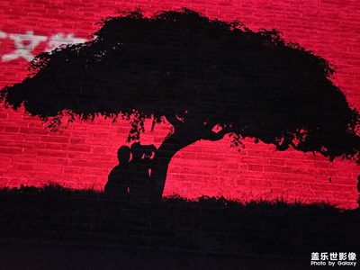 随手拍