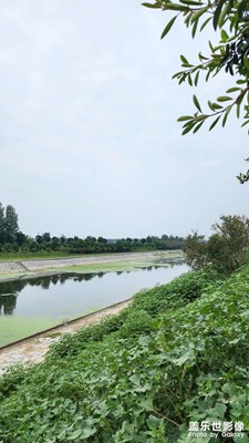 【金九银十迎双节】乡村一景