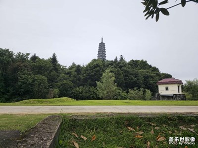 随手拍