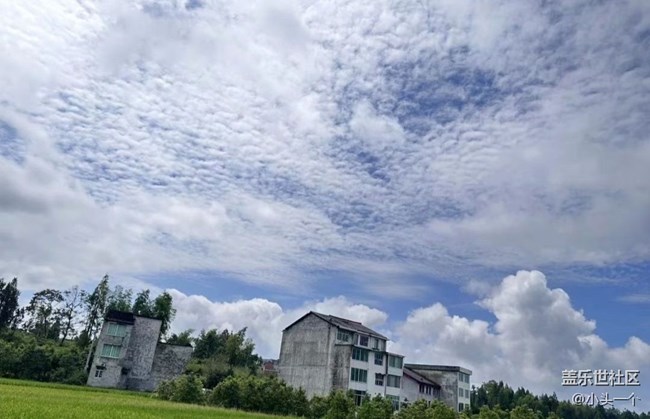 【中秋限定】野餐