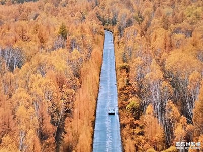 【金九银十迎双节】＋品茶赏月