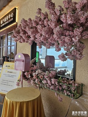 【金九银十迎双节】出门走走