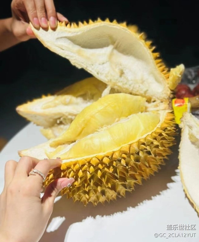 【中秋限定】大榴莲