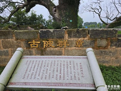 随手拍
