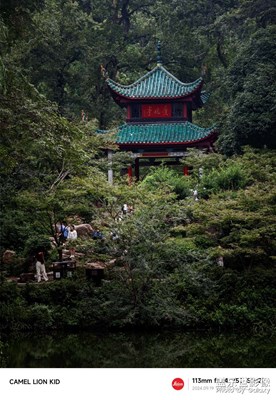 【金九银十迎双节】度