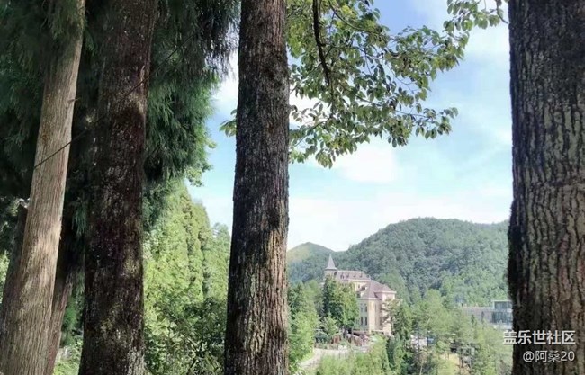 【金色秋天】捡板栗