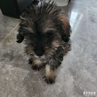 美好遇见 小可爱
