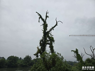 随手拍