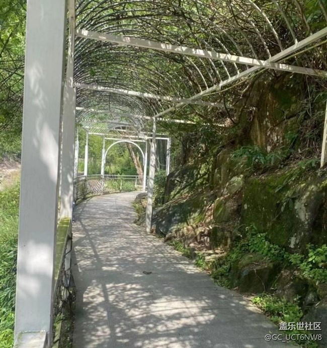 【一起来打卡秋天】周末