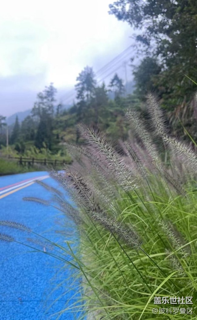 【一起来打卡秋天】依山傍水