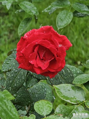 【金九银十迎双节】一场秋雨一场寒