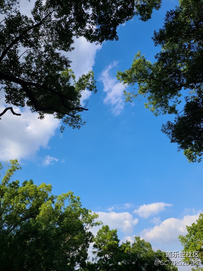 【一起来打卡秋天】+秋天景象