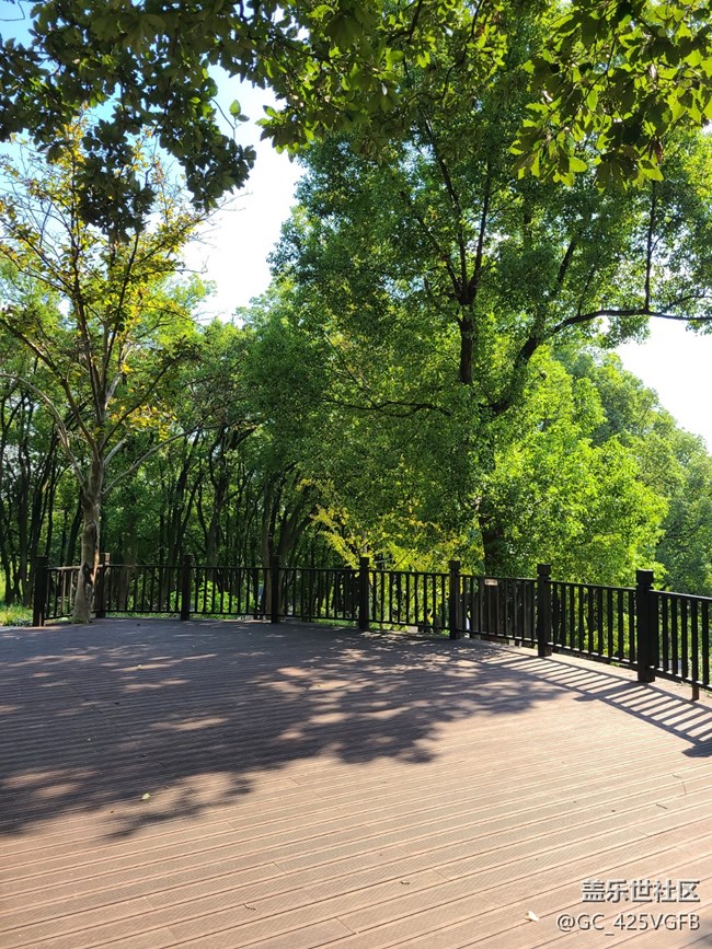 #远近皆宜——秋天的景色