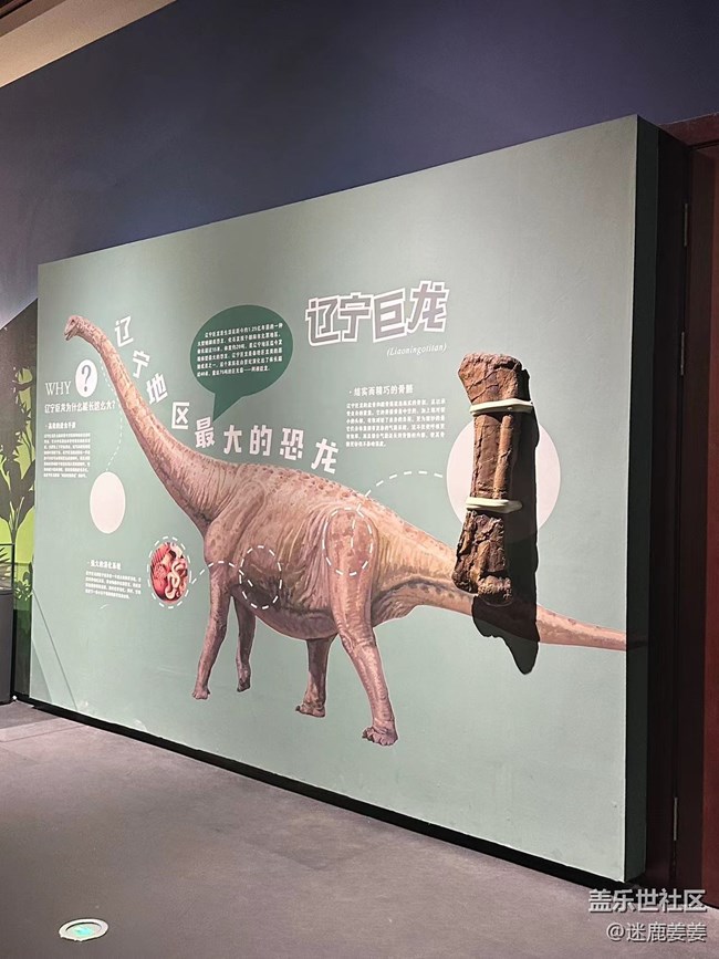 【回顾贴】三星镜头下的沈阳博物馆，感受文化遗产的魅力