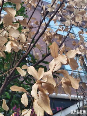 【金九银十迎双节】金九银十