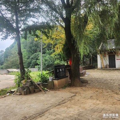 随拍，随缘