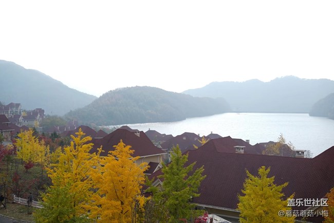 【酷爽金秋】开始拼凑秋天的颜色