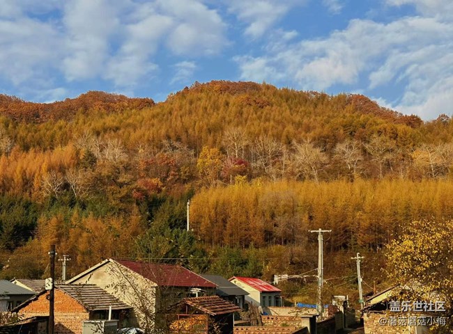 【酷爽金秋】开始拼凑秋天的颜色