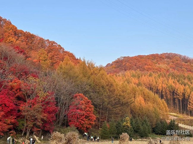 【酷爽金秋】开始拼凑秋天的颜色