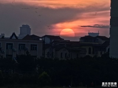 使用手机手动模式拍照有点不是很熟悉