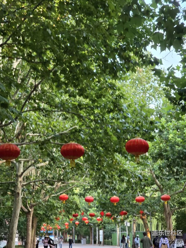 【影像映团圆】大红灯笼高高挂