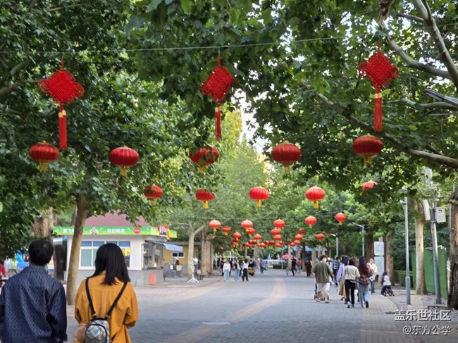 【影像映团圆】大红灯笼高高挂