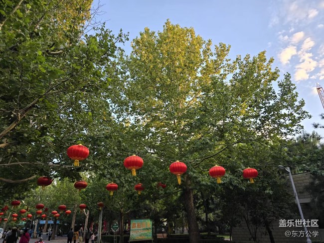 【影像映团圆】大红灯笼高高挂