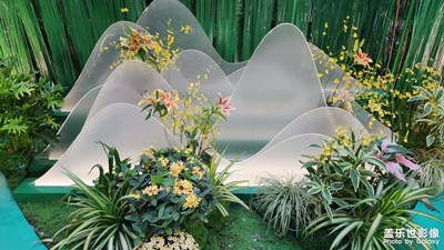 【金九银十迎双节】兰花献国庆