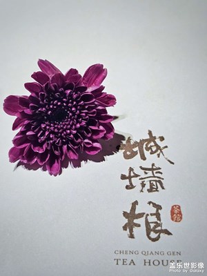【永恒瞬间】+城墙根