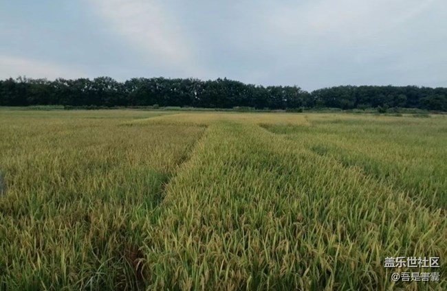 【一起来打卡秋天】放假回家