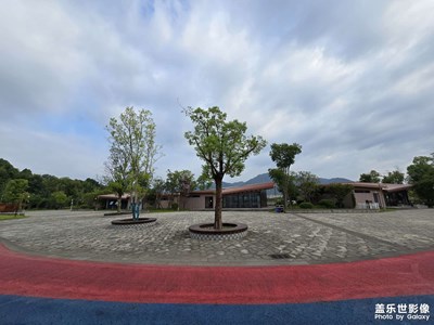 随手拍