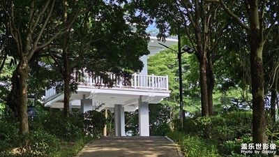 【金九银十迎双节】青青草地