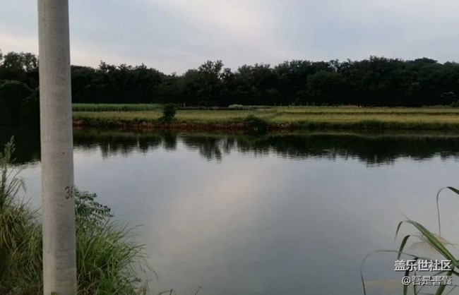 【一起来打卡秋天】放假回家